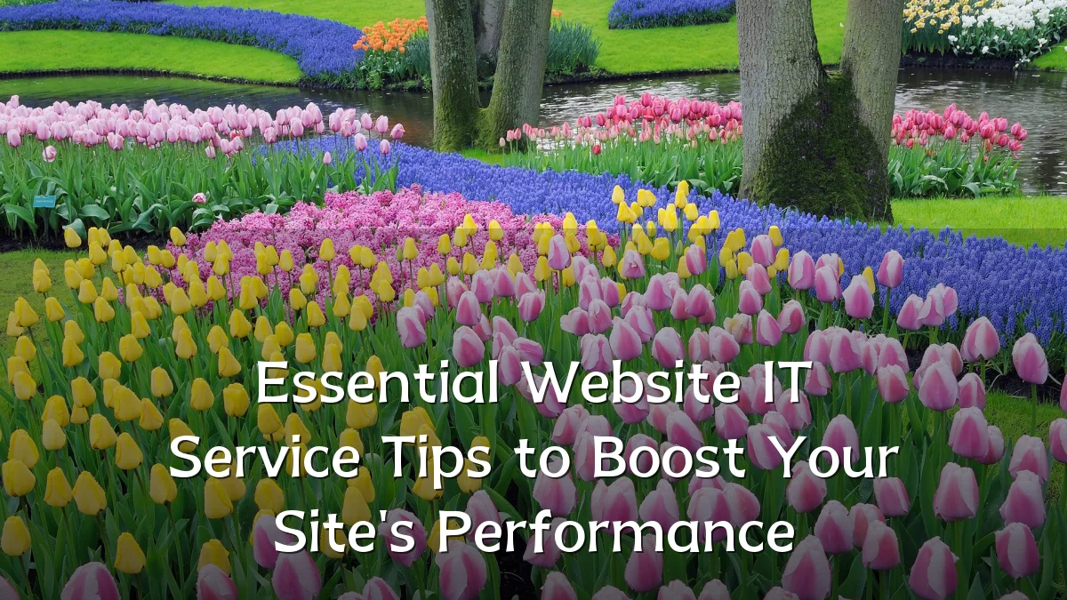 Essential Website IT Service Tips to Boost Your Site's Performance